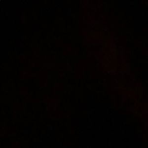 Meet your Posher, Darwin